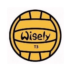Ballon de kayak polo WISELY ICF officiel T3