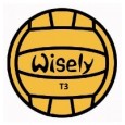 Ballon de kayak polo WISELY ICF officiel T3