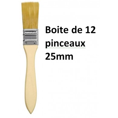 Boite de 12 pinceaux résine 25mm.