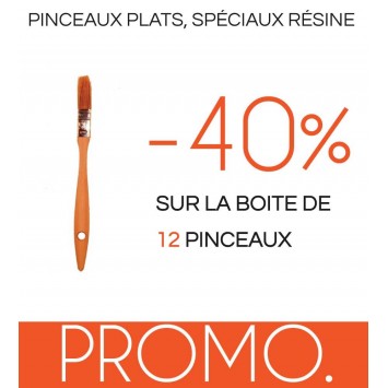 PROMO. : boite de 12 pinceaux.