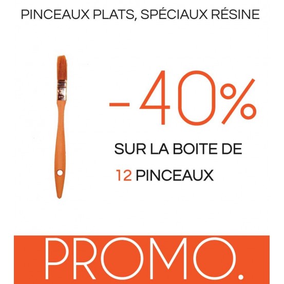 PROMO. : boite de 12 pinceaux.