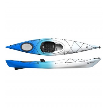 PERCEPTION "EXPRESSION 11"