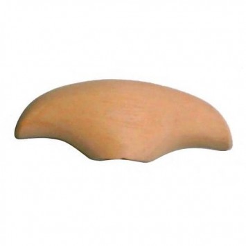 Olive bois PROPULSION